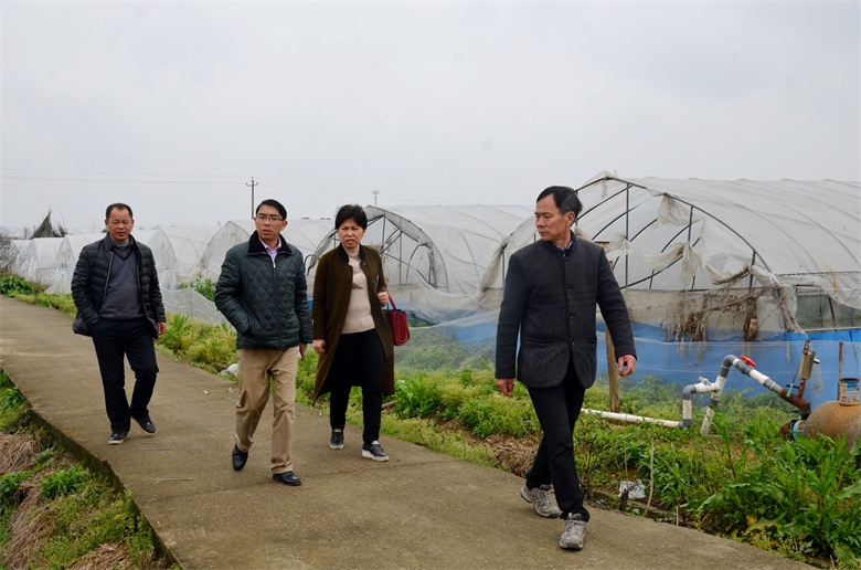 仁和集團(tuán)開(kāi)展精準(zhǔn)扶貧工作紀(jì)實(shí)