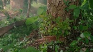 仁和集團2024版宣傳片